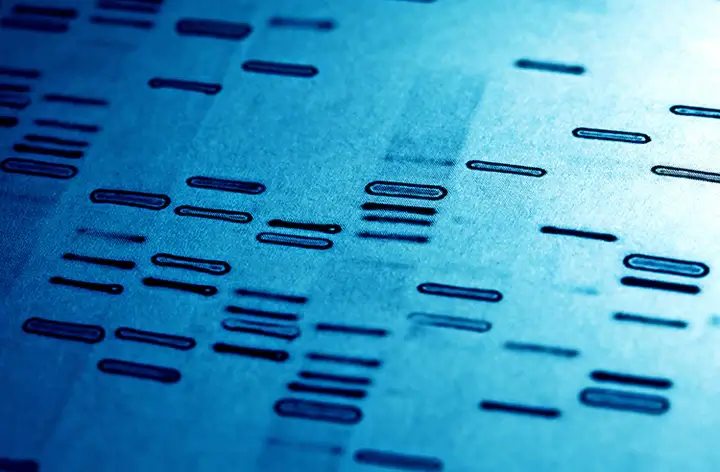 Whole Exome Sequencing